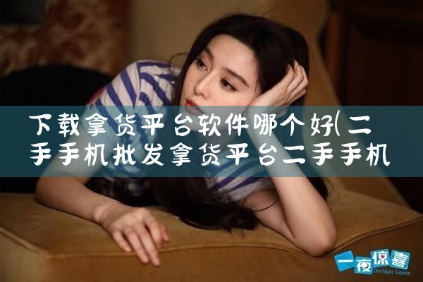 下载拿货平台软件哪个好|男娘日记