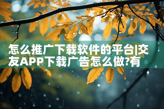 怎么推广下载软件的平台|男娘日记