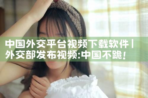 中国外交平台视频下载软件