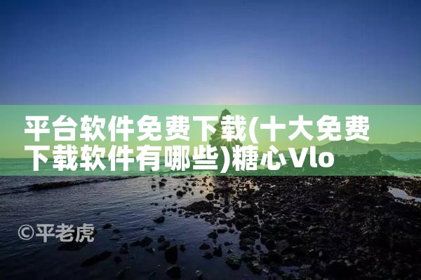 平台软件免费下载|糖心Vlog入口