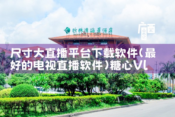 尺寸大直播平台下载软件|糖心Vlog入口