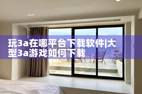玩3a在哪平台下载软件