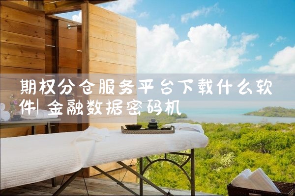 期权分仓服务平台下载什么软件