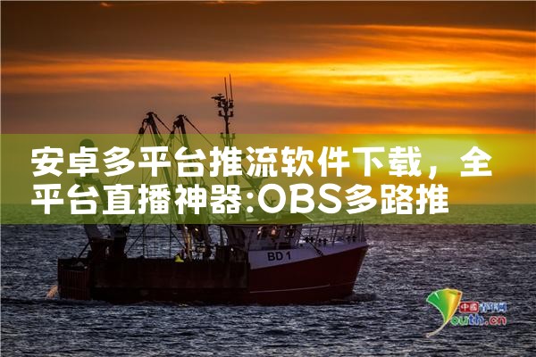 安卓多平台推流软件下载|糖心Vlog入口