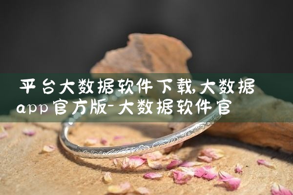 平台大数据软件下载|男娘日记