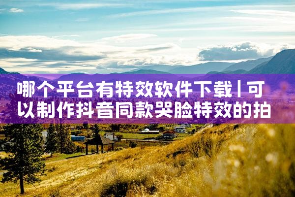 哪个平台有特效软件下载|男娘日记